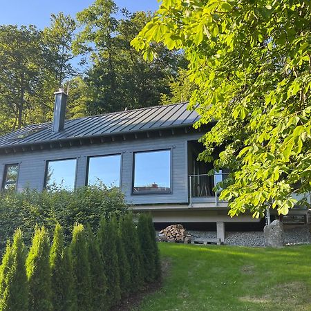 Hercynia Lodge Bad Lauterberg Esterno foto